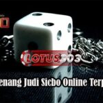 Bandar Sicbo Terbaik di Indonesia: Pilihan Taruhan Terpercaya